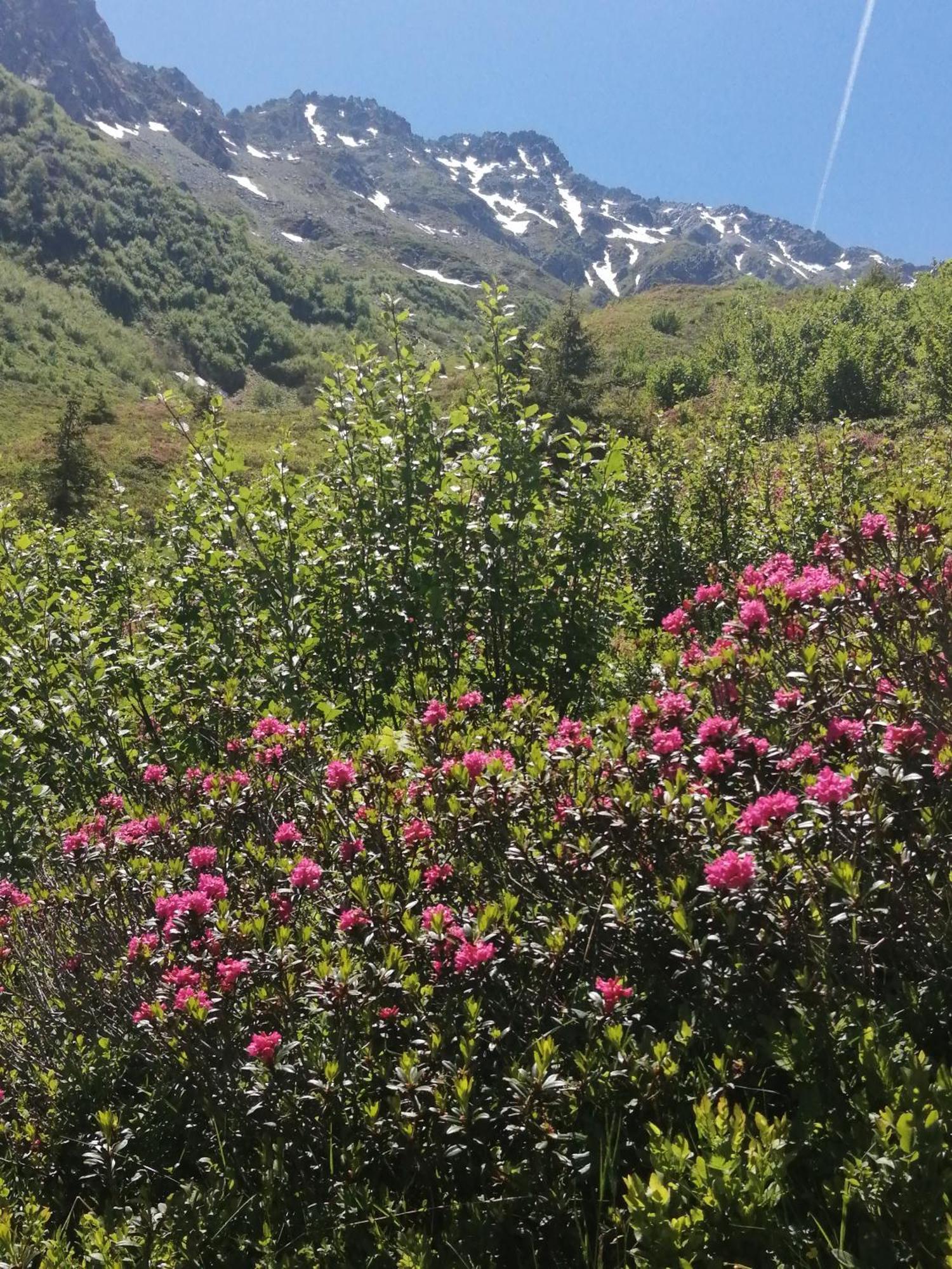 Superbe Studio Aux 7 Laux La Ferrière Εξωτερικό φωτογραφία